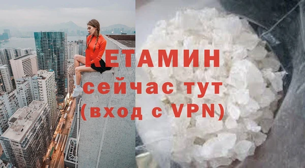 тгк Алексин