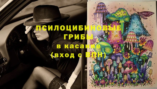 спиды Алзамай